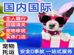 台州路桥机场邮寄国际宠物托运 【国